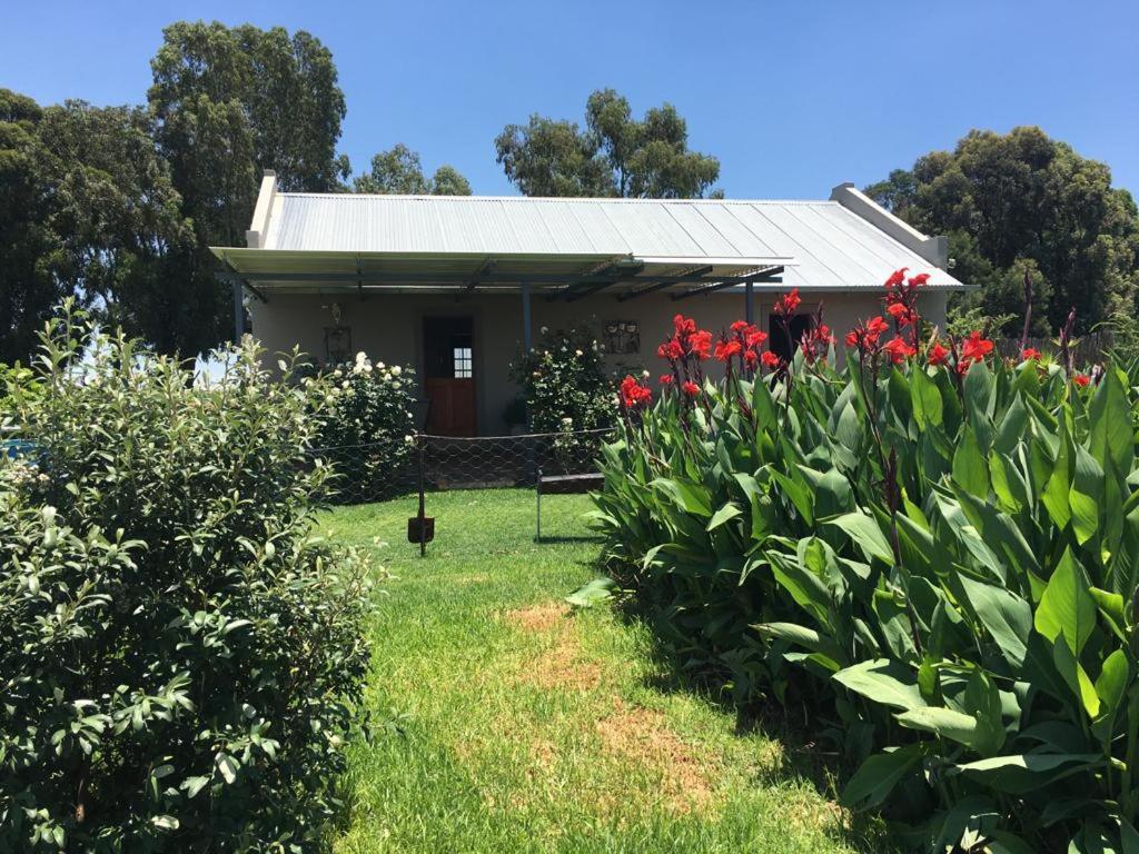 מלון מגליסבורג Sanctuary Life Guest Farm מראה חיצוני תמונה