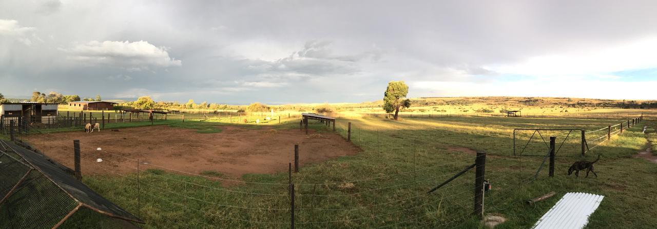 מלון מגליסבורג Sanctuary Life Guest Farm מראה חיצוני תמונה
